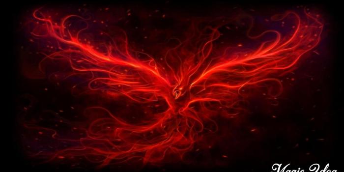 1280x720 Phoenix Wallpaper for Android - APK Download