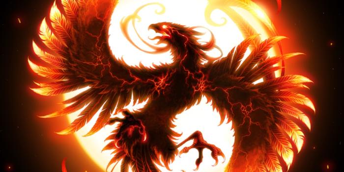 1280x800 46+] Phoenix Wallpaper Free on WallpaperSafari