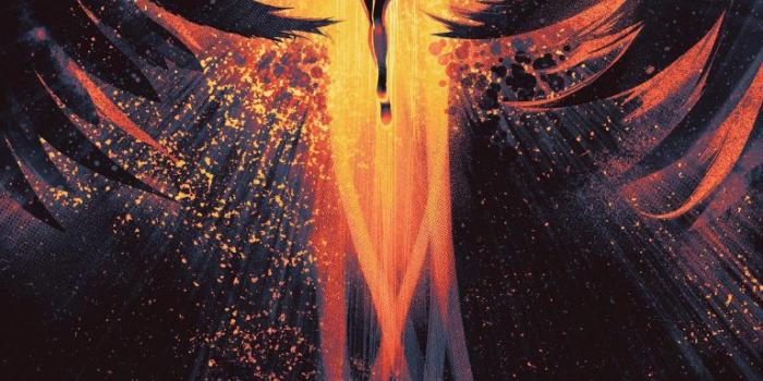 768x1366 phoenix wallpaper 088 - 1536x2732 pixel - WallpaperPass