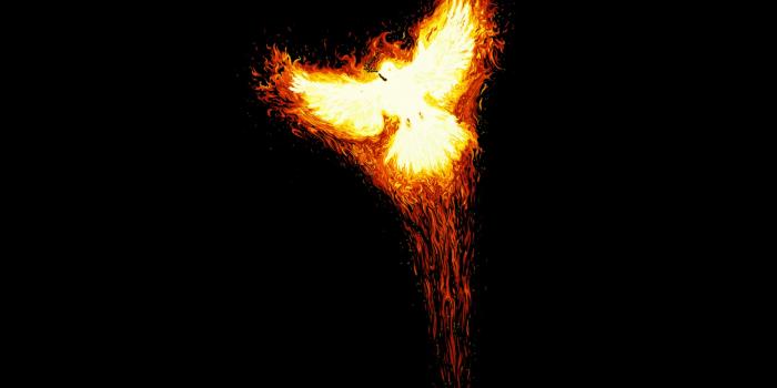 1920x1440 Phoenix Bird Ultra HD Desktop Background Wallpaper for 4K UHD TV : Tablet :  Smartphone