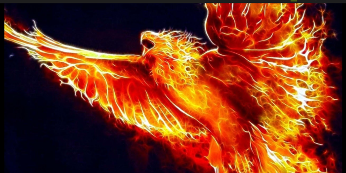 1280x720 Phoenix Wallpaper:Amazon.com:Appstore for Android