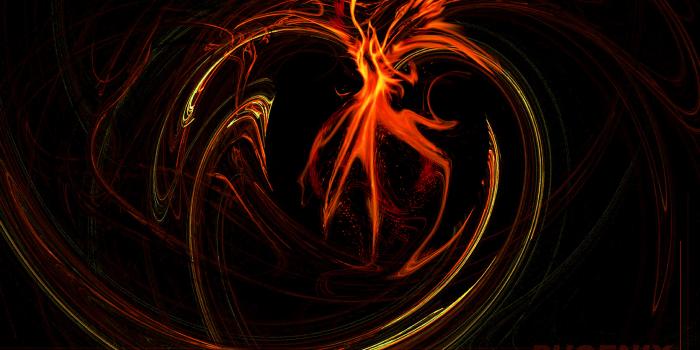 2560x1600 Phoenix wallpapers | Phoenix stock photos