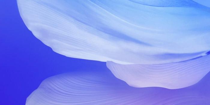 945x2048 Download Vivo V17 Stock Wallpapers (Full HD+) - DroidViews