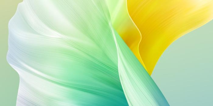 1080x2400 Download Vivo S10 Pro Stock Wallpapers in FHD+ Resolution