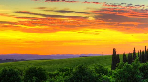 630x1280 Vivo X5 Max wallpaper by P3TR1T - 8dd9 - Free on ZEDGE™