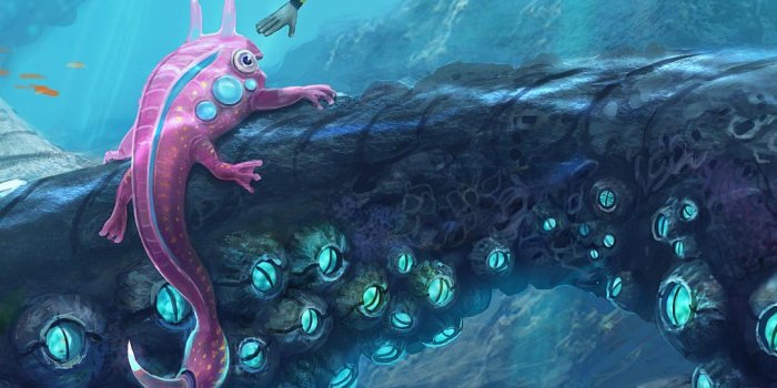 1080x1920 Subnautica Phone Wallpapers - Top Free Subnautica Phone Backgrounds -  WallpaperAccess
