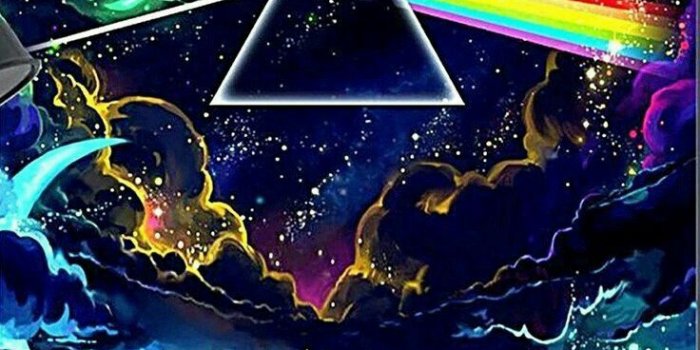 736x1099 Pink Floyd Wallpapers - Sfondi Rick E Morty - 736x1099 Wallpaper - teahub.io
