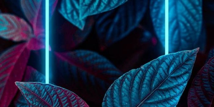 700x1244 15 Best Wallpapers for iPhone 13 Pro and iPhone 13 Pro Max :  WallpapersUpdate