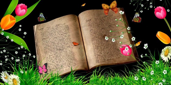 1366x768 Wallpapers Books Reading Student Images A Book 1920x1080 Desktop Background