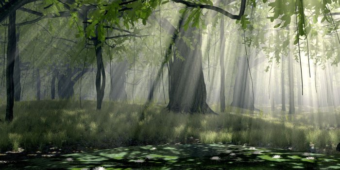 2560x1024 Dual Screen Wallpaper - EnJpg