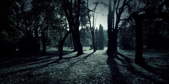 1920x1080 Shadows Wallpaper HD - PixelsTalk.Net