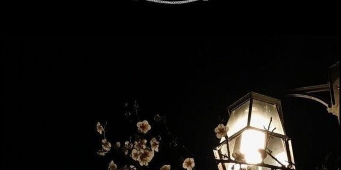 1080x1920 Prada iPhone Wallpapers - Top Free Prada iPhone Backgrounds -  WallpaperAccess