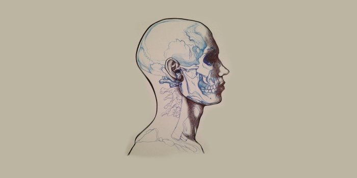 1920x1080 30 Anatomy Wallpapers - Wallpaperboat