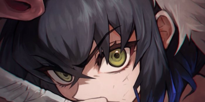 1191x1500 Demon Slayer Inosuke Wallpapers - Top Free Demon Slayer Inosuke Backgrounds  - WallpaperAccess