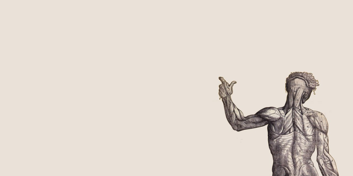 1280x800 Human Anatomy Wallpapers Wallpapers Zone Desktop Background