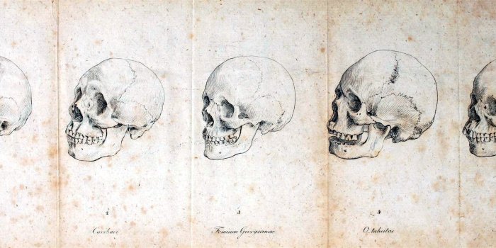 3178x1205 Free download Human Anatomy Wallpaper Desktop Medical anatomy skull 2  [3178x1205] for your Desktop, Mobile & Tablet | Explore 47+ Human Anatomy  Wallpaper | Heart Wallpapers For Desktop, Human Body Wallpaper, Heart  Screensavers and Wallpaper