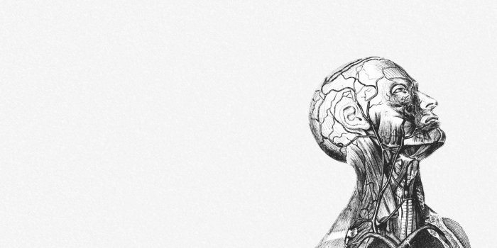 1680x1050 Human Anatomy Wallpapers - Top Free Human Anatomy Backgrounds -  WallpaperAccess