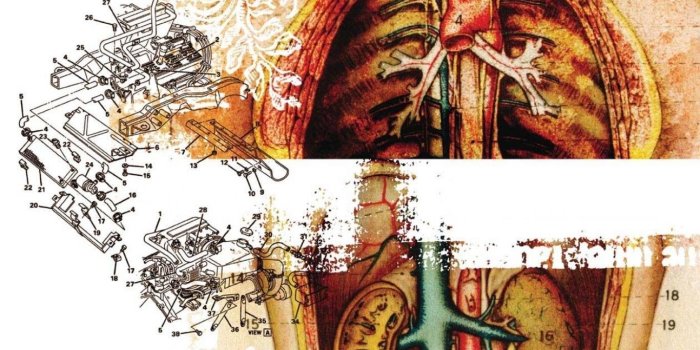 1366x768 Body Engine Moar Anatomy Human Art HD Wallpapers Wallpapers Desktop  Background