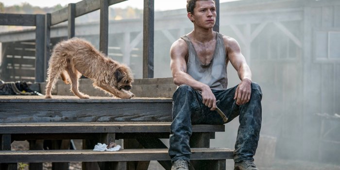 3840x2160 Tom Holland in Chaos Walking Wallpaper, HD Movies 4K Wallpapers, Images,  Photos and Background - Wallpapers Den