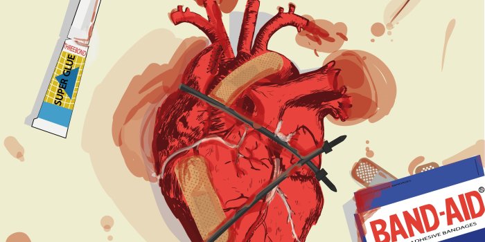 3300x2550 hearts, Anatomy Wallpapers HD / Desktop and Mobile Backgrounds