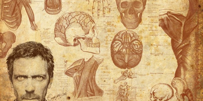 2560x1600 skulls anatomy hugh laurie gregory house tv series 2560x1600 wallpaper –  Architecture Houses HD Desktop Wallpaper
