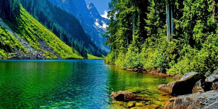 1920x1080 Green River Wallpapers - Top Free Green River Backgrounds - WallpaperAccess