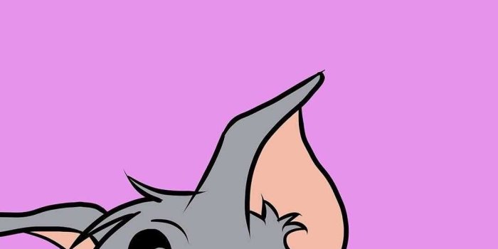 1080x1920 Tom And Jerry Wallpaper - VoBss