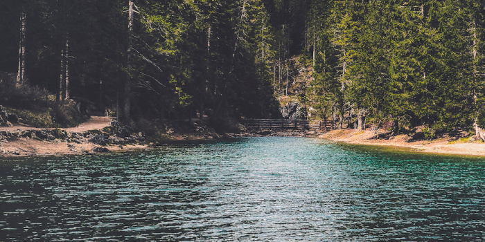 1242x2688 River Wallpaper for iPhone 11, Pro Max, X, 8, 7, 6 - Free Download on  3Wallpapers