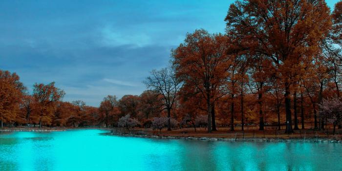 1920x1200 River HD Wallpapers And Desktop Backgrounds - All HD Wallpapers