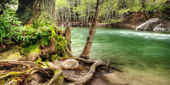 1920x1200 1700+ River HD Wallpapers | Background Images