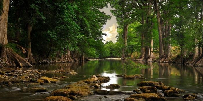 1920x1080 Free download Forest River Wallpapers Top Forest River Backgrounds  [1920x1080] for your Desktop, Mobile & Tablet | Explore 57+ Wallpaper Rivers  | Wallpaper of Rivers,