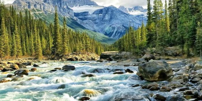 1100x1100 River Live Wallpaper for Android - APK Download