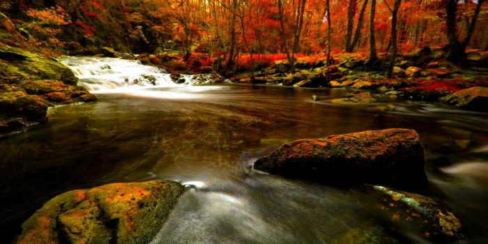 1920x1200 Autumn River HD Wallpaper - PixelsTalk.Net