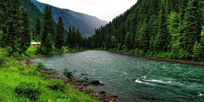 1920x1080 River in the Mountain Forest HD Wallpaper | Background Image | 1920x1080