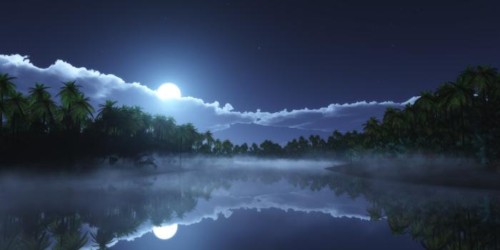 2560x1440 Wallpaper River, 4k, HD wallpaper, sea, palms, night, moon, clouds, Nature  #5714