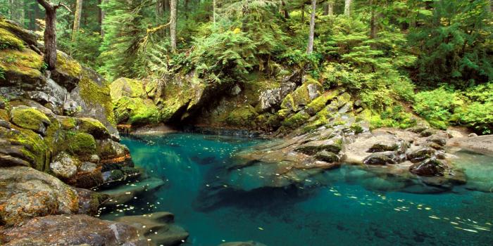 1600x1200 Ohanapecosh River wallpapers | Ohanapecosh River stock photos