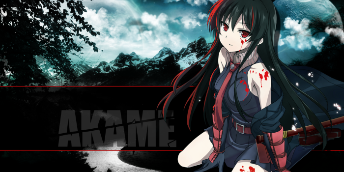 1920x1080 320+ Akame ga Kill! HD Wallpapers | Background Images