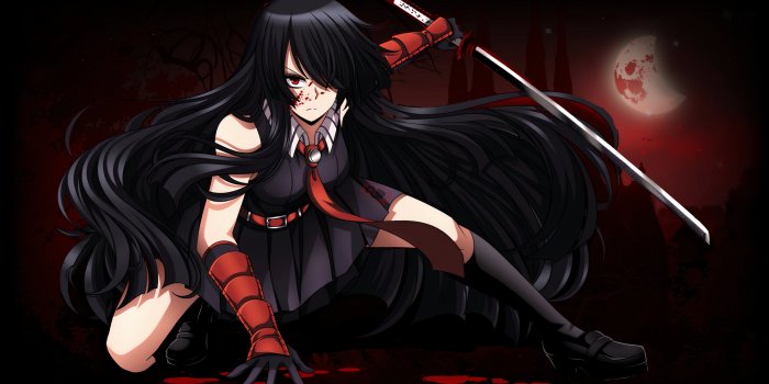 3840x2160 Akame from Akame ga Kill! Anime Wallpaper ID:7930