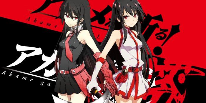 1920x1200 Akame Ga Kill Anime Wallpapers