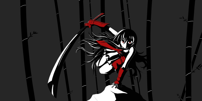 1920x1080 Akame Ga Kill! Computer Wallpapers, Desktop Backgrounds | 1920x1080 |  ID:554298 | Akame ga, Akame ga kill, Anime wallpaper