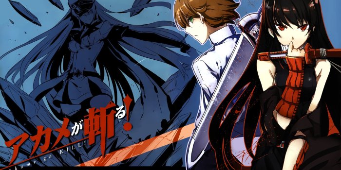 2501x1800 Akame Ga Kill! Wallpaper [2501 x 1800] : r/AkameGaKILL