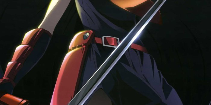 1440x2560 Akame Ga Kill Wallpapers - iXpap