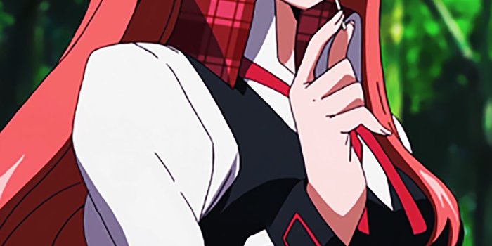 1244x2208 Akame Ga Kill iPhone Wallpapers - Top Free Akame Ga Kill iPhone Backgrounds  - WallpaperAccess