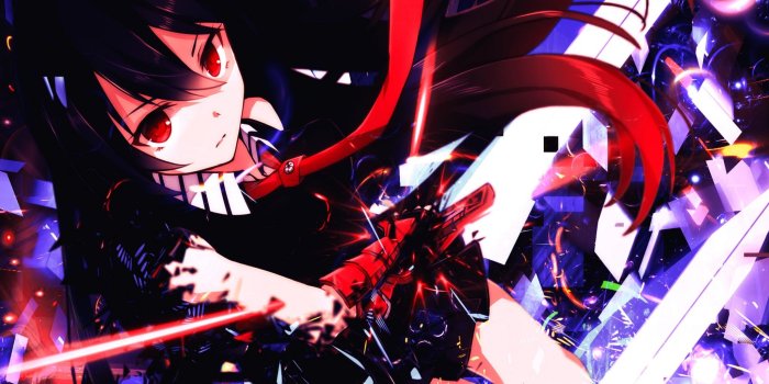 2048x1536 Download Hd Akame Ga Kill Desktop Wallpaper Id - Hd Akame Ga Kill  (#2478182) - HD Wallpaper & Backgrounds Download