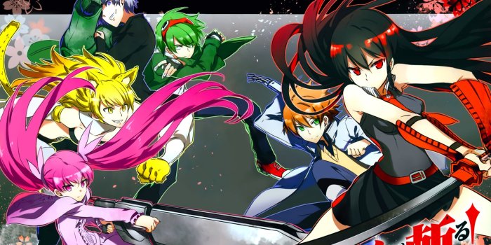 1920x1080 Night Raid Akame Ga Kill 1080p Hd Wallpaper Background - Akame Ga Kill  Fanart (#260931) - HD Wallpaper & Backgrounds Download