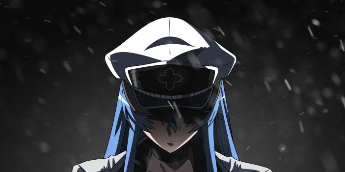 1920x1080 Akame ga Kill!, Anime girls, Esdeath HD Wallpapers / Desktop and Mobile  Images & Photos