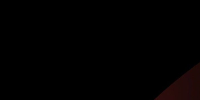 709x1536 Best Quality Dark OLED Mobile Wallpapers Download Free ⋆ Traxzee | Iphone  wallpaper travel, Full hd wallpaper android, Wallpaper