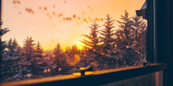 1000x1500 100+ Cozy Pictures | Download Free Images on Unsplash