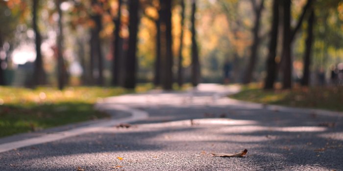 3840x2160 Cozy Autumn Ultra HD Desktop Background Wallpaper for 4K UHD TV : Tablet :  Smartphone