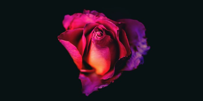 3415x3415 1440p Oled Backgrounds - 3415x3415 Wallpaper - teahub.io